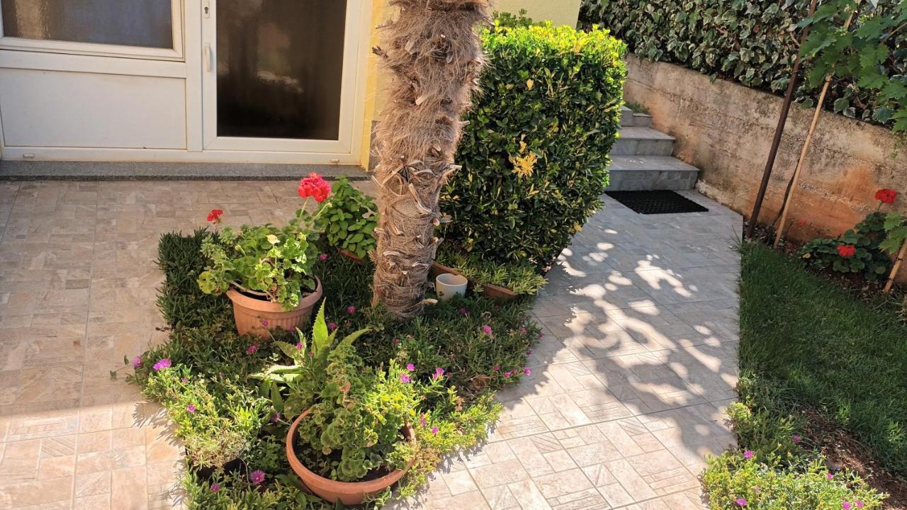 Apartments Monte Magno プーラ エクステリア 写真