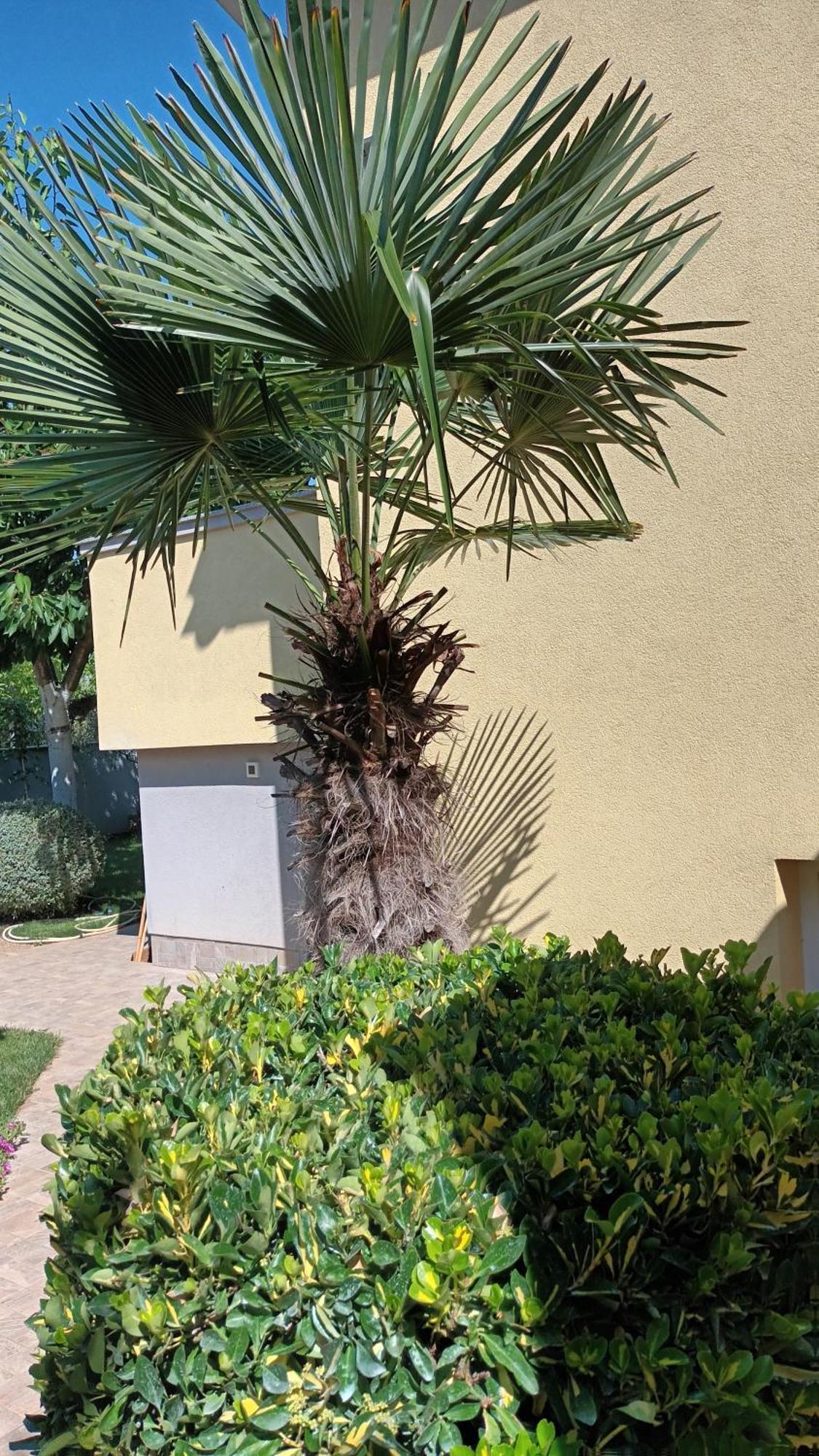 Apartments Monte Magno プーラ エクステリア 写真